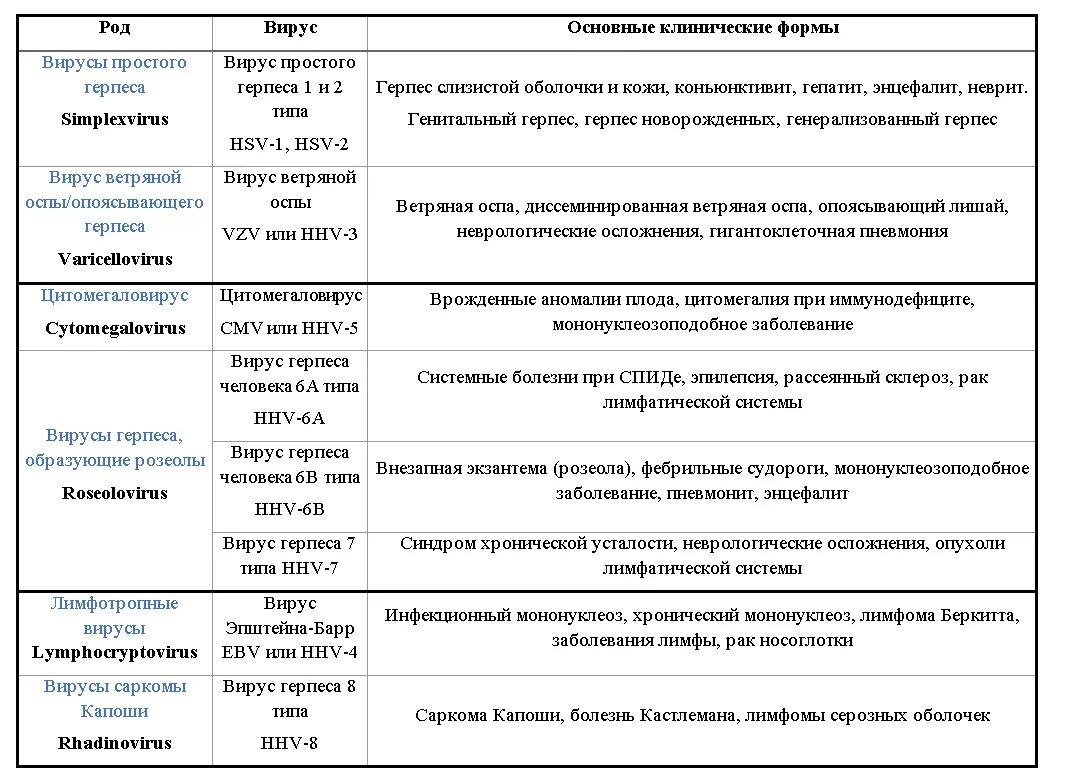 Вирус герпеса 6 типа заболевание. Классификация вируса герпеса 1 типа. Вирус простого герпеса 1 и 2 типа проявление. Вирус простого герпеса 1 и 2 типа разница. Герпес виды лечения