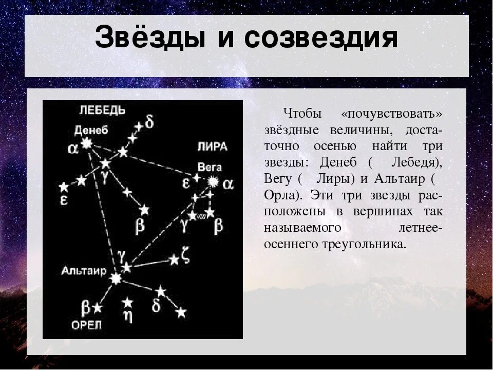 Какие звезды вам известны