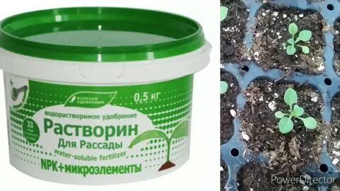 Грунт открытый москва