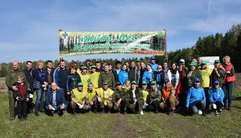 Лесничество новосибирск