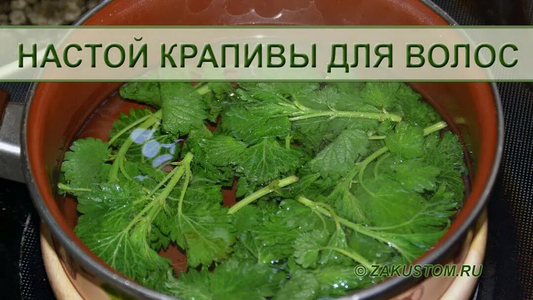 Как варить крапиву