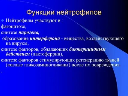 Нейтрофилы функции