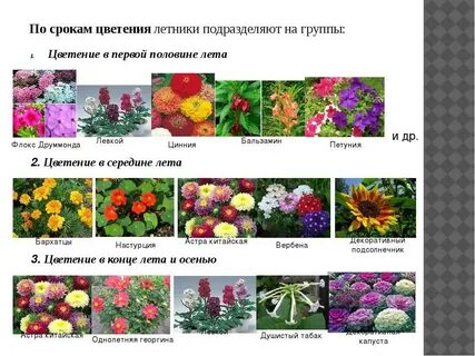 Виды цветения