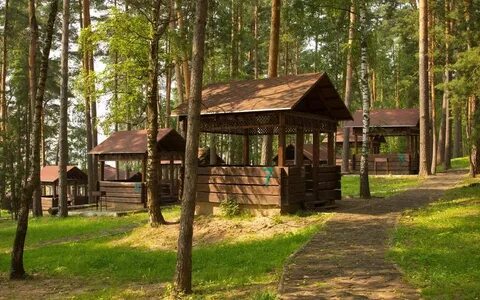 Ногинск отдых