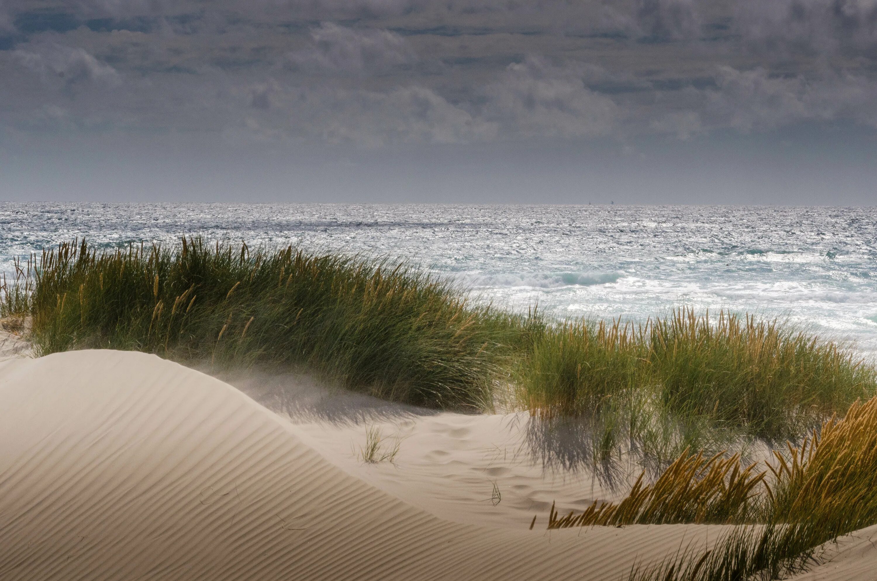 Plage sugar