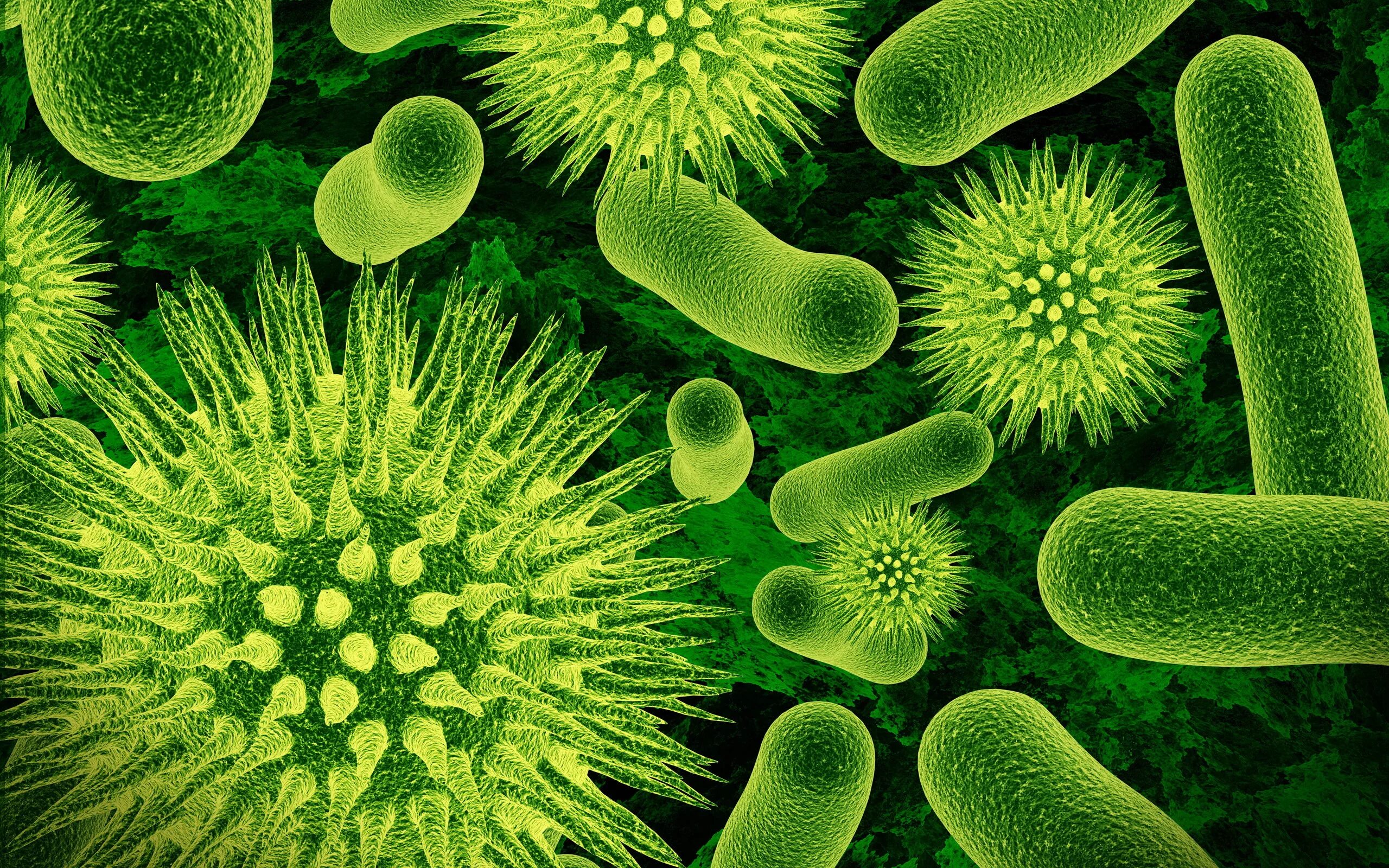 Микробы вирусы бактерии. Бактерии одноклеточные организмы. Бактерии аэробы. Красивые бактерии. Зеленые бактерии.
