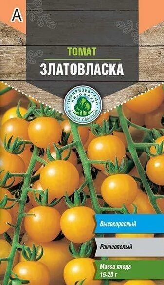 Томат златовласка отзывы. Томат черри Златовласка. Сорт черри Златовласка. Желтый томат Златовласка. Томат Златовласка рассада.