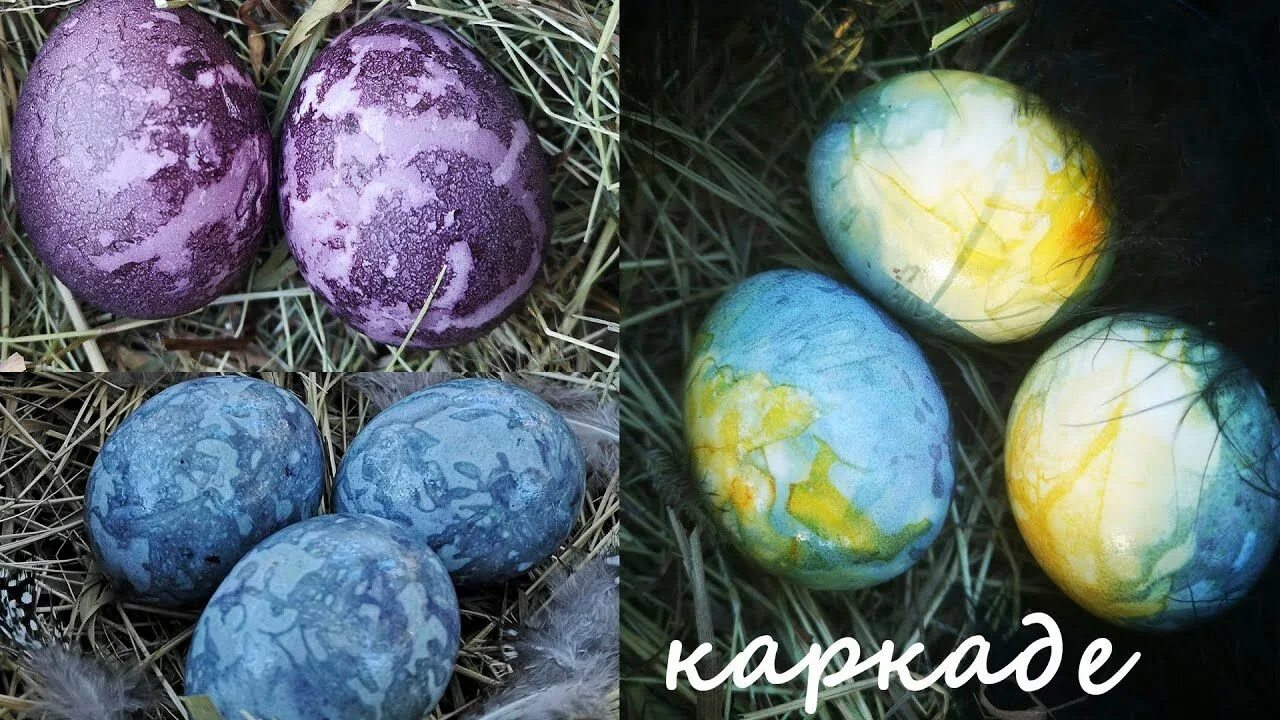 Покраска яиц с помощью каркаде. Покрасить пасхальные яйца чаем каркаде. окраска яиц каркаде. крашеные яйца в каркаде. красить яйца в каркаде на пасху.