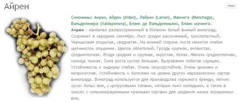 Какие сорта винограда используют для производства вина