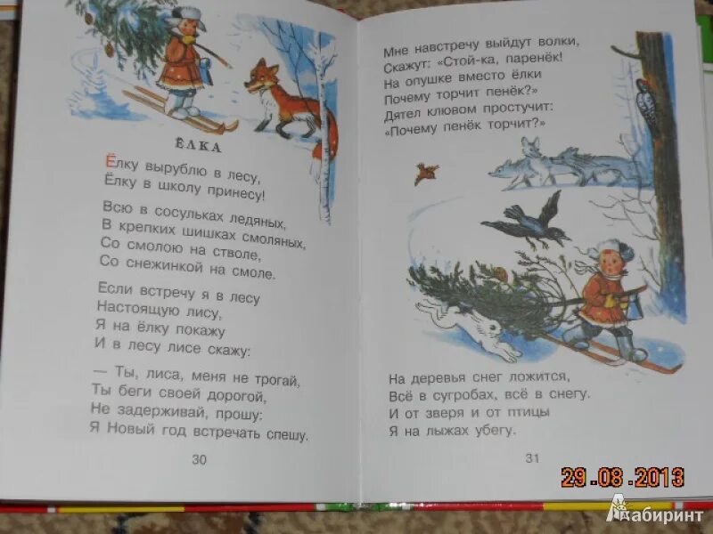 Стихотворение Сутеева. Стихи про Полюшко. Полюшко поле текст. Песня Полюшко поле слова песни. Я по полюшку приду к тебе текст