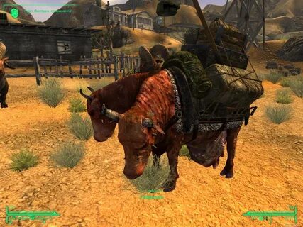 Брамин fallout