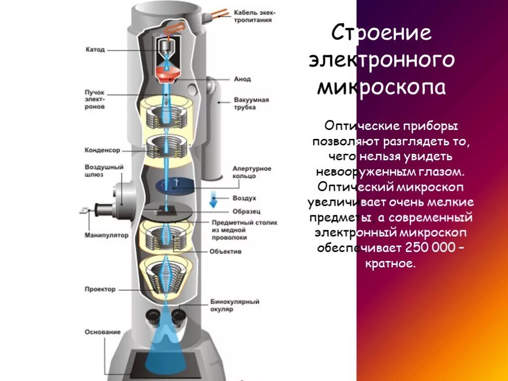 Состав цифрового микроскопа. Строение цифрового микроскопа 5. Цифровой электронный микроскоп микроскоп строение. Строение электронного микроскопа 5 класс. Строение электронного микроскопа 5 класс биология.