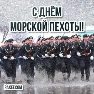 День морской пехоты санкт петербург