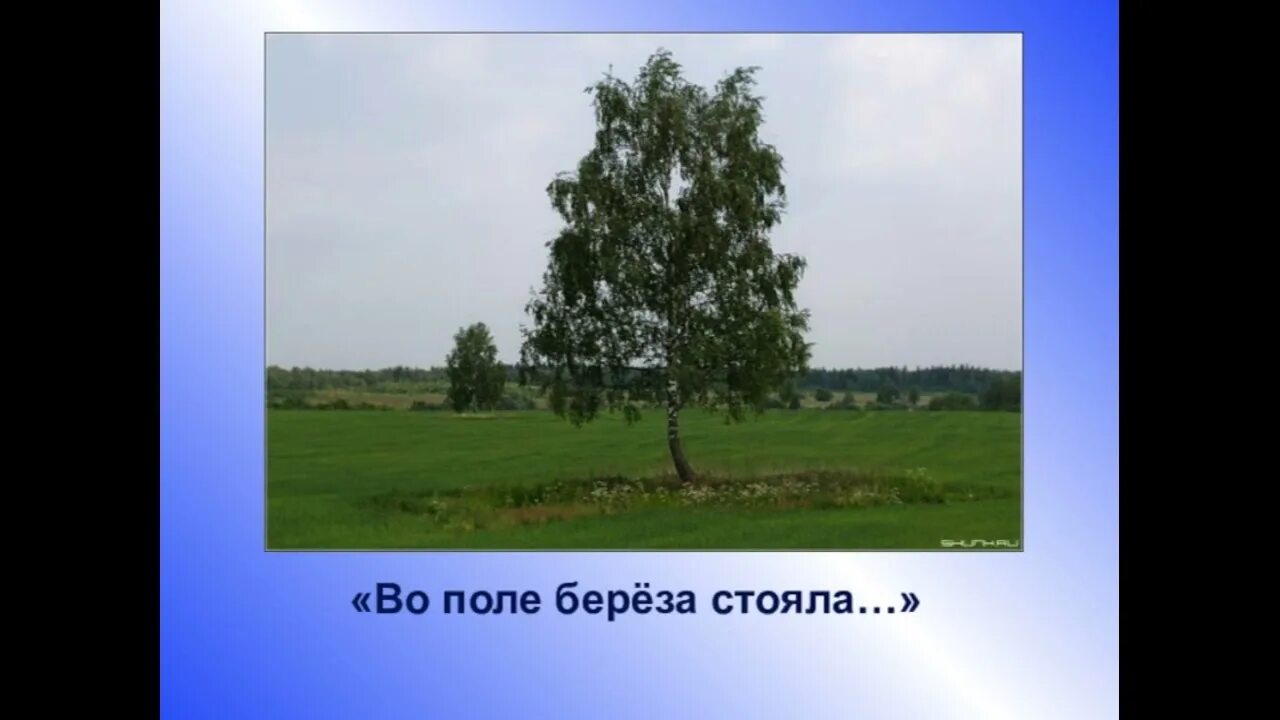 Какой жанр песни во поле береза. Во поле береза стояла. вопроле березка стояла. во ополт берёщка стояла. береза в поле.
