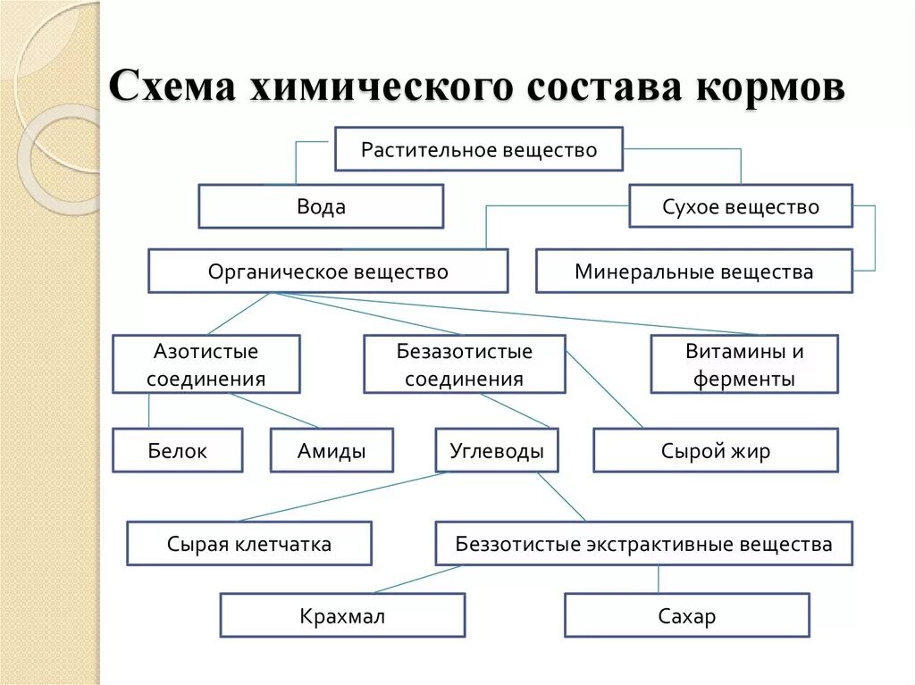 Основные группы растительных кормов. Схема зоотехнического анализа химического состава кормов. Составьте схему химического состава кормов.. Химический состав кормов животного. Схема химического состава растительных кормов.