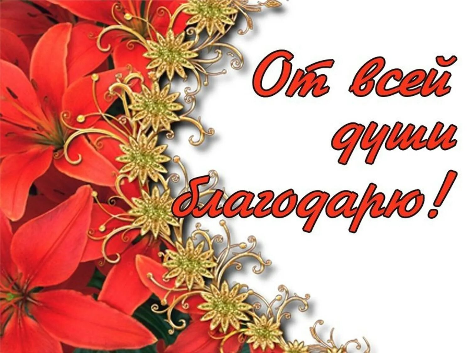 Коллеги спасибо за поздравление очень приятно. Благодарю от всей души. спасибо за поздравления. от всей души спасибо за поздравления. спасибо всем за поздравления от всей души благодарю.