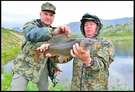 Рыбалка в коми