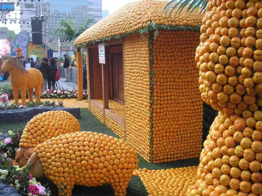 цитрусовое солнце. апельсиновый сад. апельсиновый рай. апельсиновый рай. солнечный апельсин.