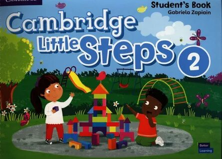 Step level 2