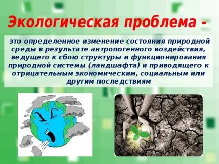 Экологические проблемы ландшафта