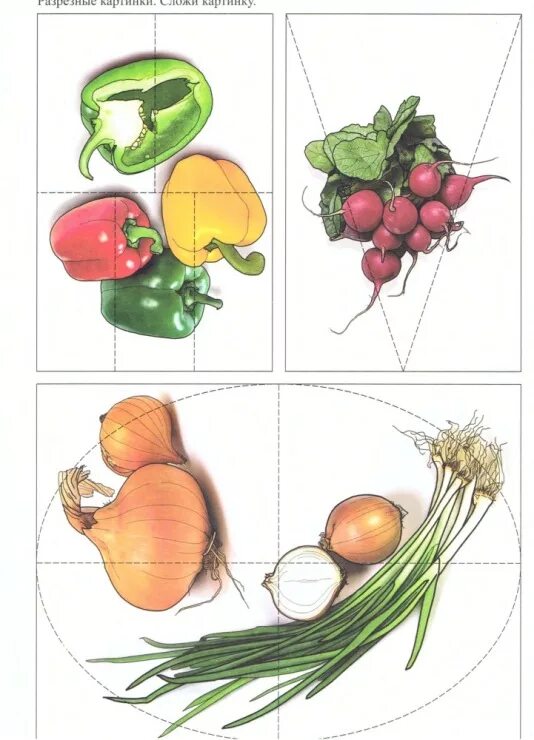 Задание 5 овощи. Овощи занятия с детьми. Разрезные овощи и фрукты. Карточки с изображением овощей. Овощи для детей.