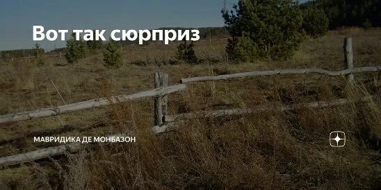 Читать рассказы на дзене мавридики. Мавридика монбазон. мавридика де монбазон дзен. мавридика де монбазон рассказы. мавридика де монбазон яндекс.