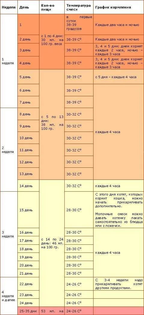Сколько еды надо давать. Сколько корма давать котенку в 1 месяц. Сколько должен съедать новорожденный котенок. График кормления новорожденного котенка. Таблица кормления новорожденного котенка.