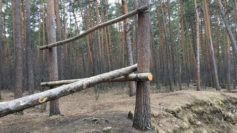 Работа бор свежие
