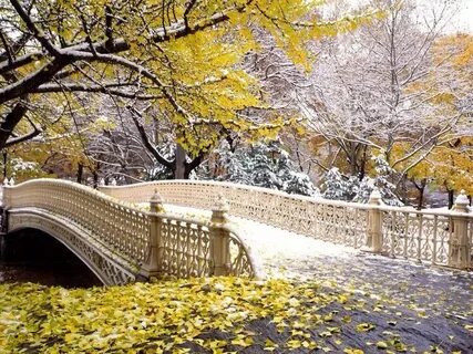 Красивые картинки начало ноября