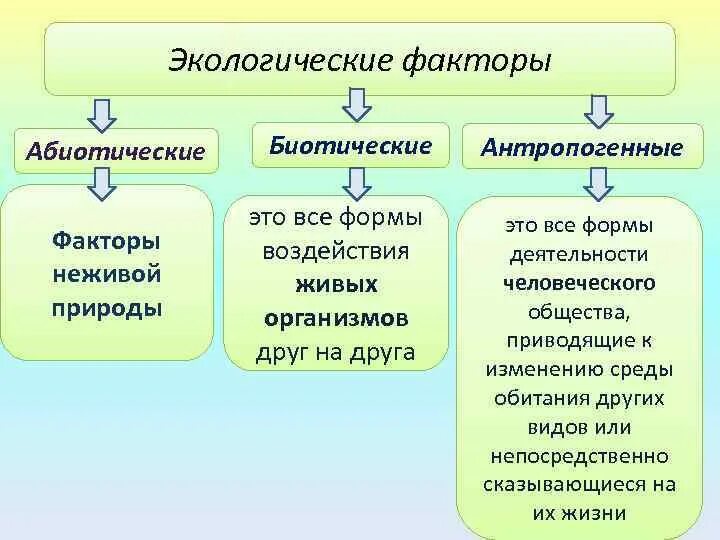Какие изменения биотических. Какие изменения биотических