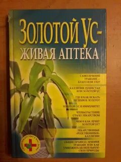 Золотой ус показания