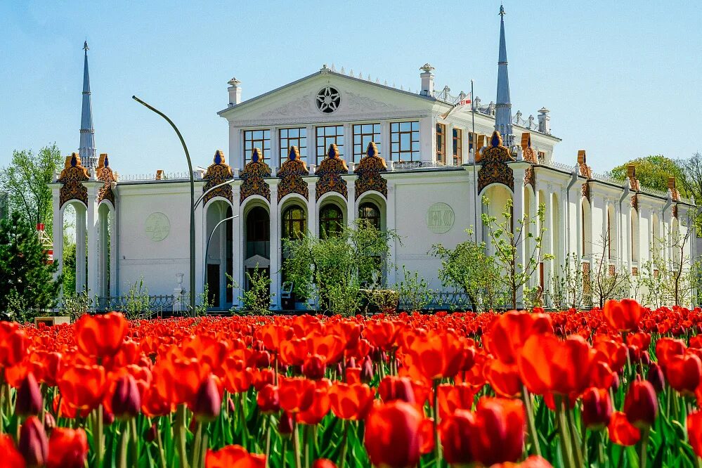 Павильон 25 нефть. Павильон 16 вднх. 25 павильон вднх. музей народного хозяйства вднх. павильон нефть на вднх.