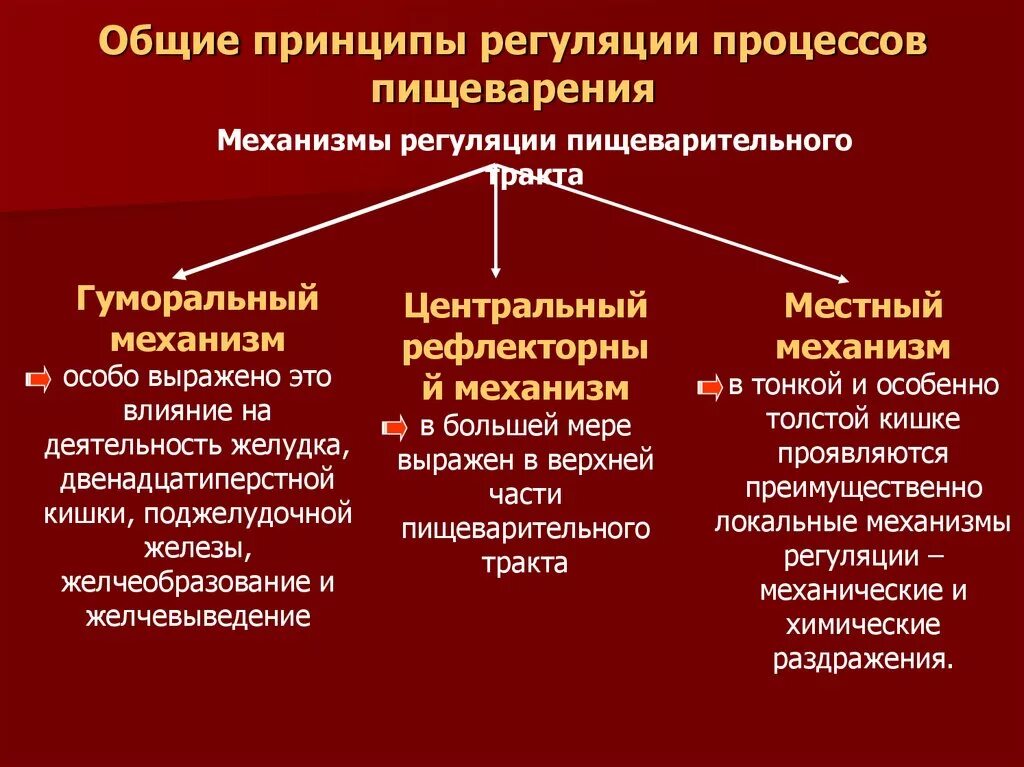 Регуляция пищеварительной деятельности желудочно-кишечного тракта. Механизмы регуляции пищеварения. Принципы регуляции пищеварения физиология. Механизмы регуляции функций пищеварительной системы.