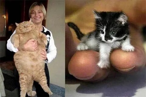 Она не вырастет