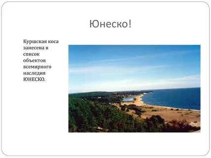 Куршская коса входит в юнеско