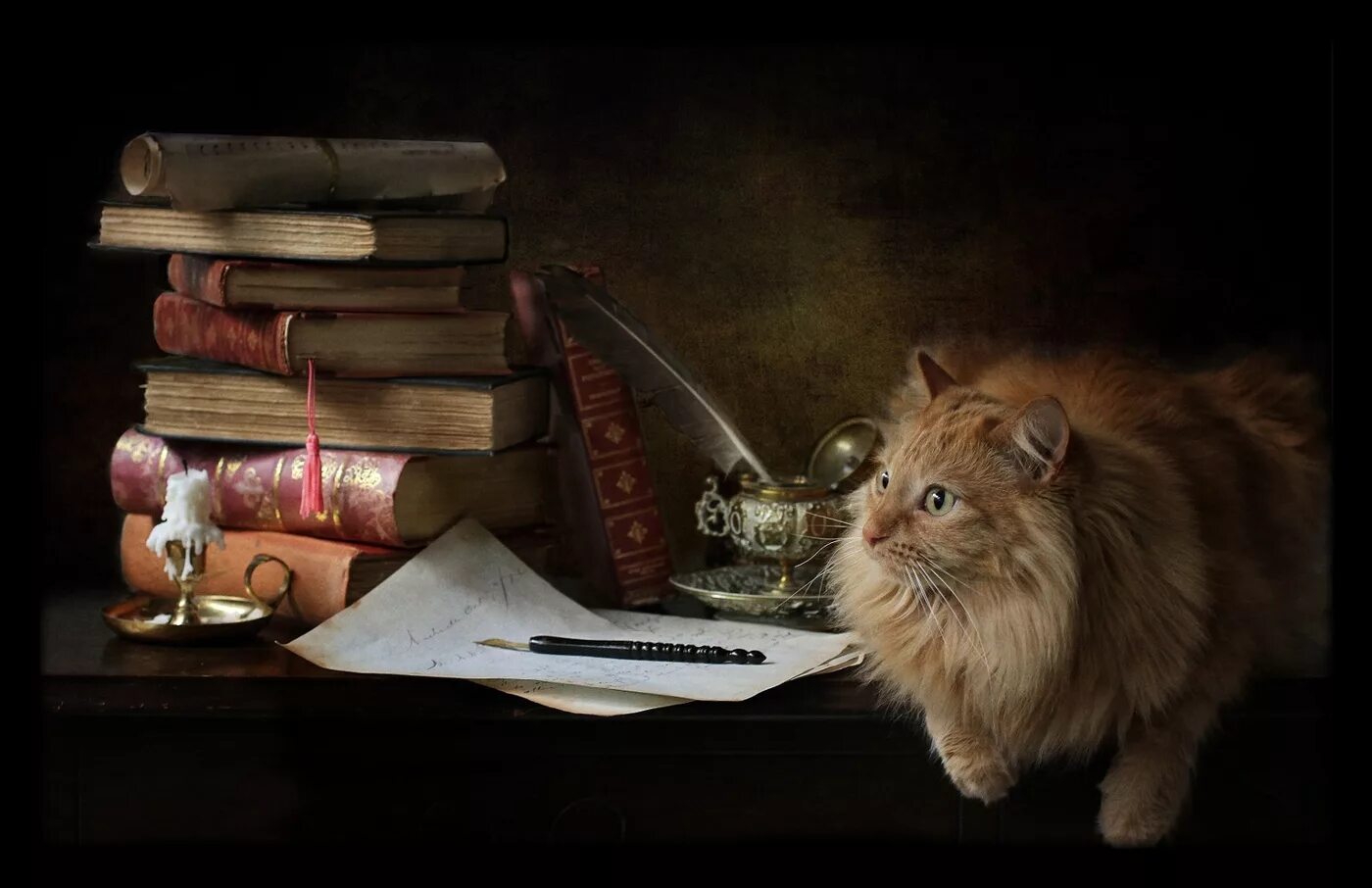 Книги ученый кот