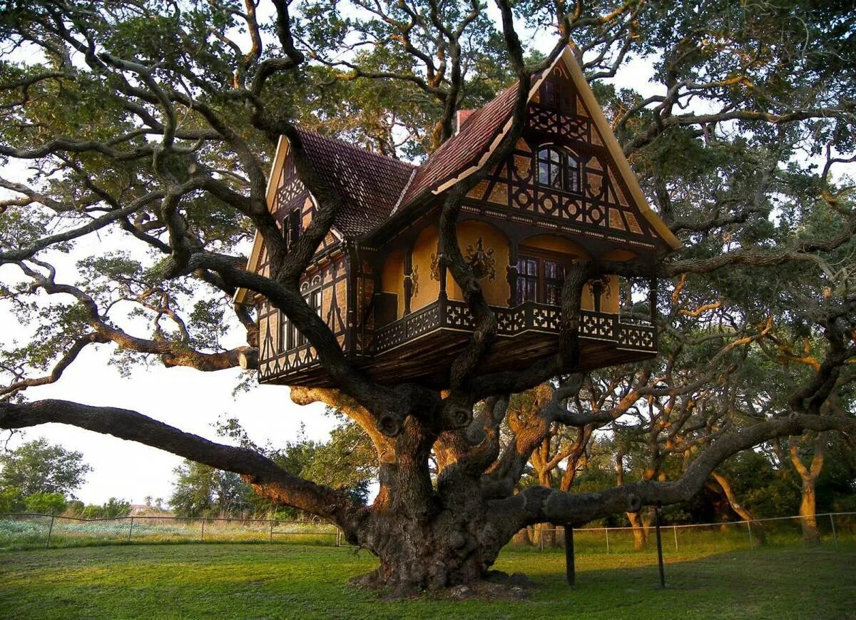 Build tree