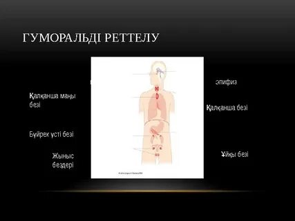 Онлайн порно ұйықтап жатқан адамды қорлайды