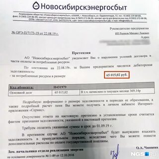 Новосибирскэнергосбыт юридические лица