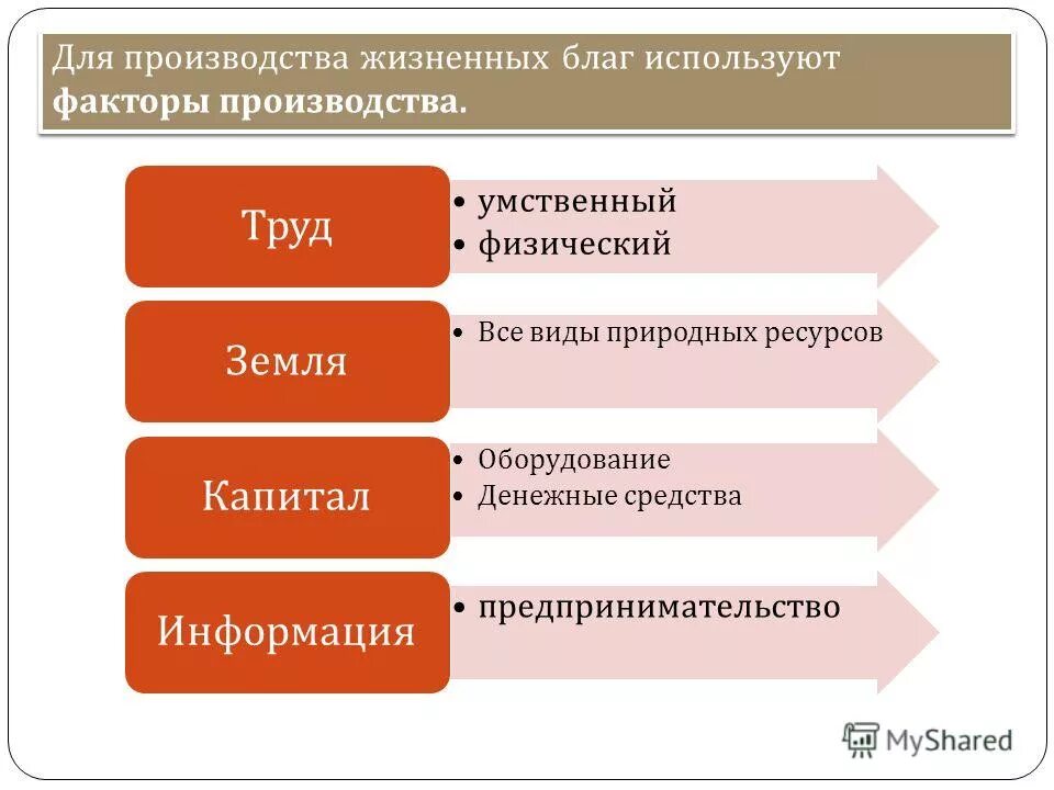 Система жизненных благ