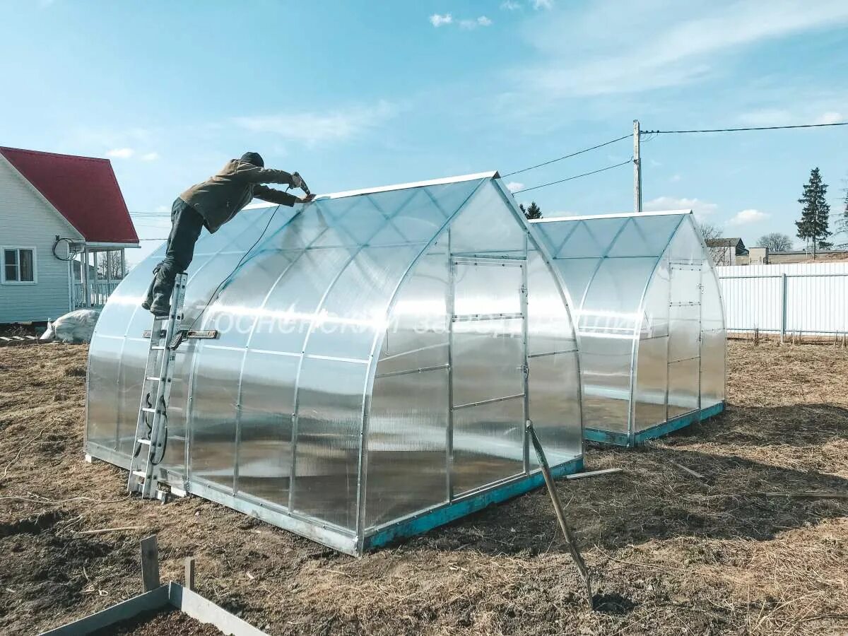 Теплица Купава. Теплица Купава из поликарбоната. Тосненский завод теплиц Купава. Парник из поликарбоната Купава. Смоленская фабрика теплиц