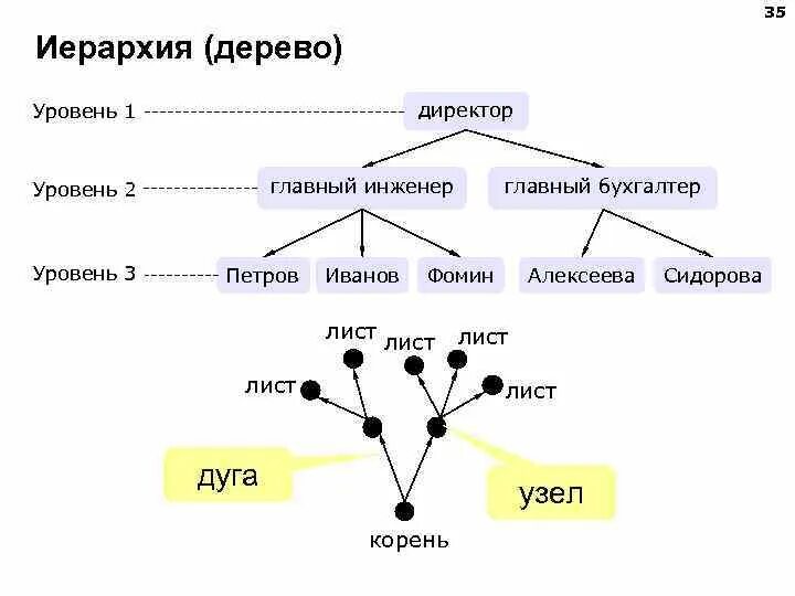 Дано дерево отображающее иерархическую структуру. Дерево иерархии. схема дерево информатика.