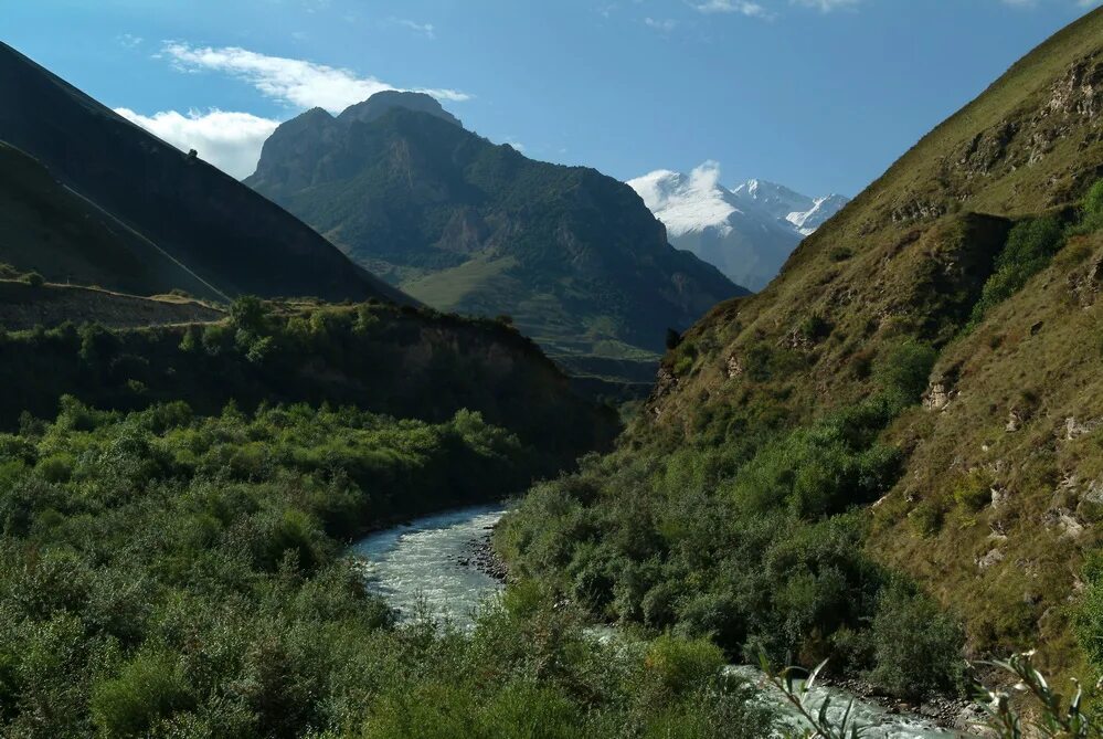 Башиль чегемское ущелье. Турбаза башиль. Ущелье башиль кабардино-балкария. Турбазы чегем и башиль. Турбаза башиль.