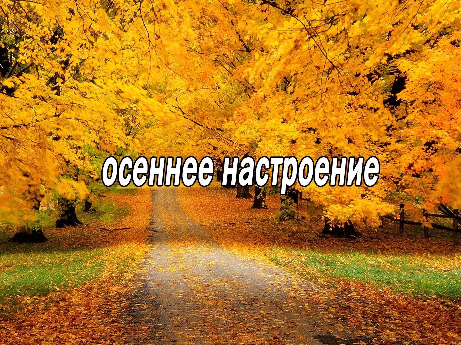 С добрым осенним утром субботы. Доброго осеннего субботнего дея. Доброго осеннего дня субботы. Открытки с осенней субботой.