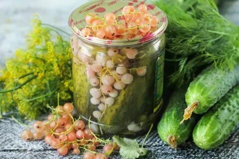 Белая смородина заготовки на зиму