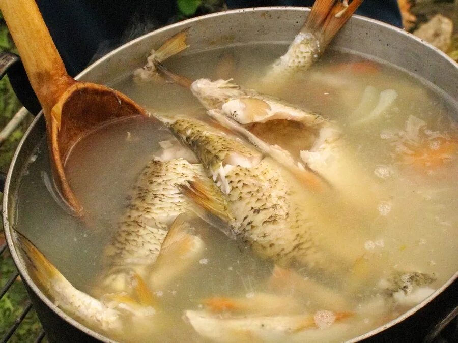 Как приготовить вкусную уху