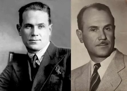 Братья васильевы