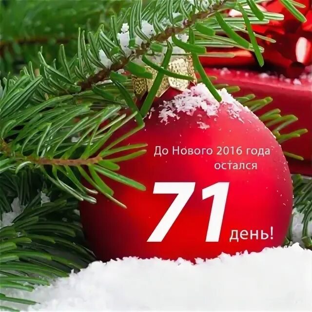 Новый год 2014 цены