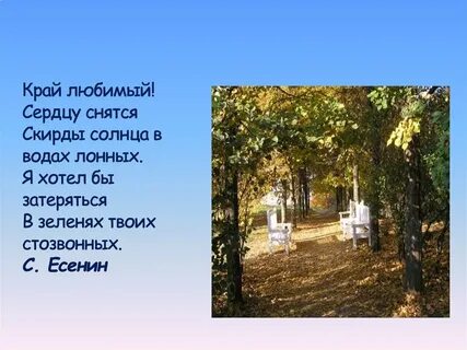 Сердцу снится есенин