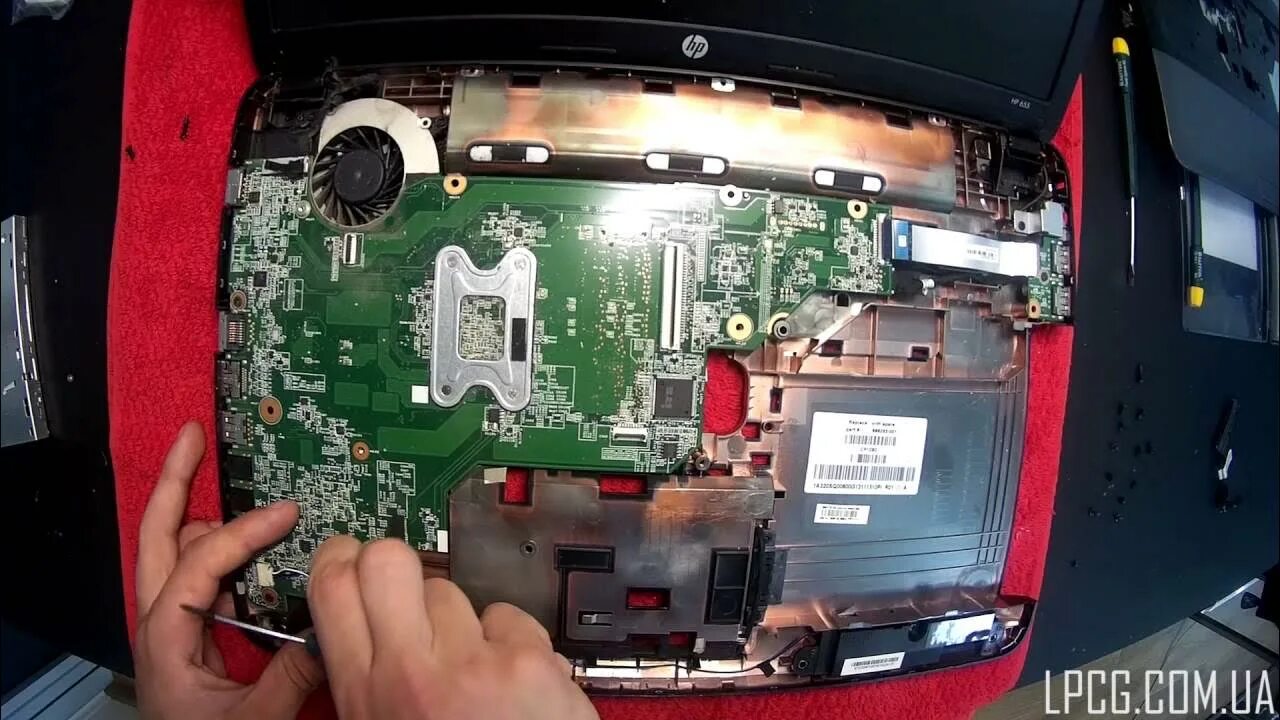 Как разобрать и почистить ноутбук HP 655 - YouTube